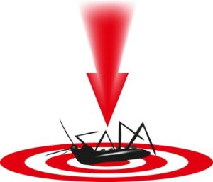 Les coûts associés à une désinsectisation professionnelle