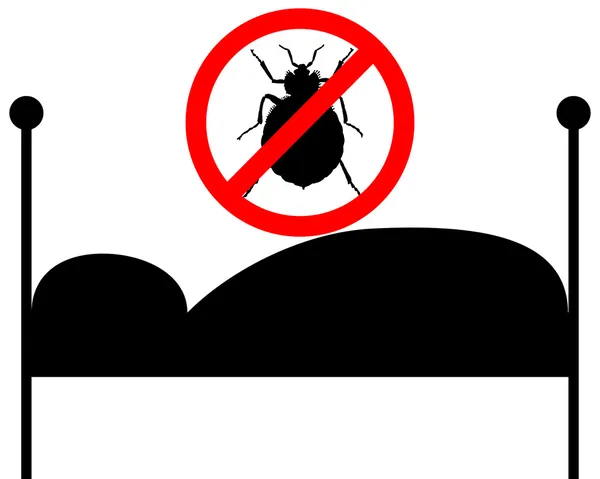 Comment nettoyer efficacement après une infestation de punaises de lit