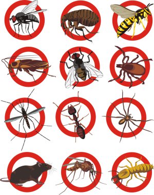 Les dangers des insectes pour les systèmes de ventilation