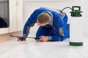 Comment l'intelligence artificielle est utilisée dans la lutte contre les nuisibles