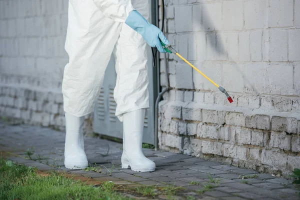 Comment protéger les systèmes de plomberie contre les invasions de rongeurs