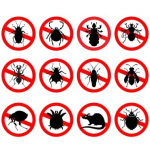 Les dangers des bactéries et virus pour les systèmes de plomberie