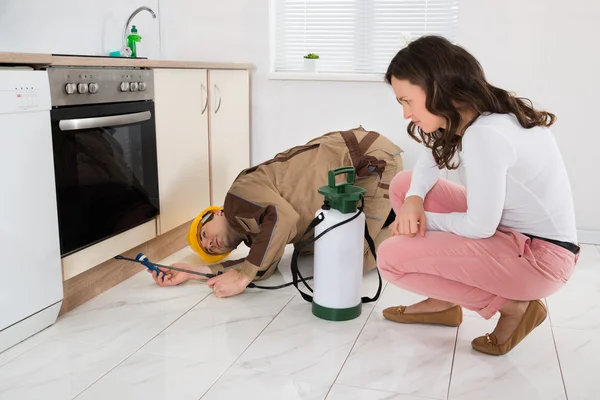 Les produits de prévention des nuisibles les plus efficaces