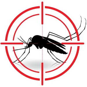 Les meilleures pratiques pour un environnement sans insectes