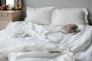 Pourquoi les punaises de lit sont plus fréquentes en été