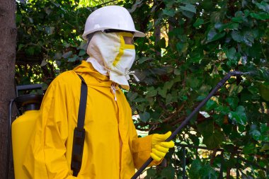 Les pièges les plus efficaces contre les rats