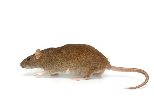 Les meilleures méthodes pour désinfecter un centre de soins après une épidémie