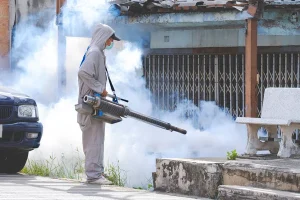 Comment gérer une invasion de rats dans une entreprise industrielle