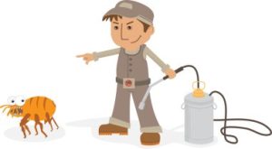 Les pièges à nuisibles les plus efficaces