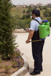 Les tendances dans les solutions écologiques pour la désinsectisation