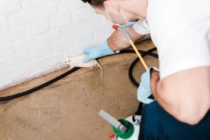 Les meilleures méthodes pour éliminer les rats dans les greniers