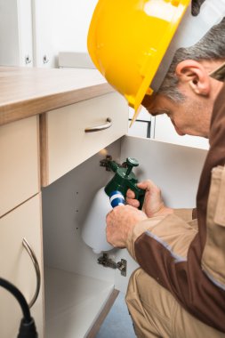 Les dangers des rats pour les installations agricoles