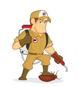 Comment désinsectiser un centre de formation