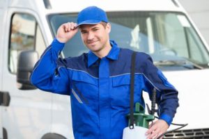Comment protéger votre maison des nuisibles de manière durable