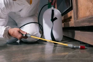 Comment se débarrasser des rongeurs dans les systèmes de ventilation