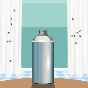 Punaises de lit comment traiter une maison infestée