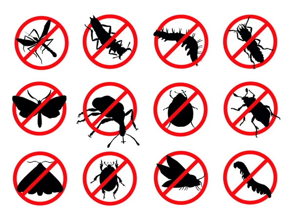 Les solutions pour éviter les invasions de criquets