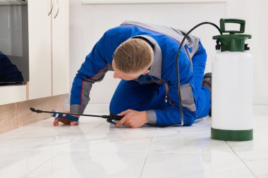 Comment désinfecter un espace de vie collectif après une épidémie