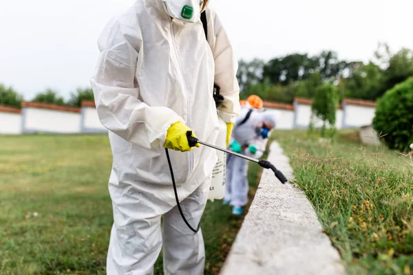 Quels produits utiliser pour une dératisation efficace