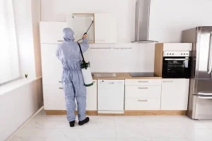 Comment protéger les commerces alimentaires des invasions de rongeurs