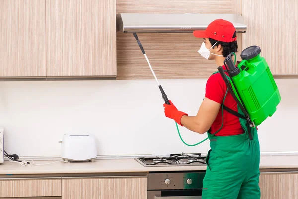 Les différents types de pièges pour une dératisation maison