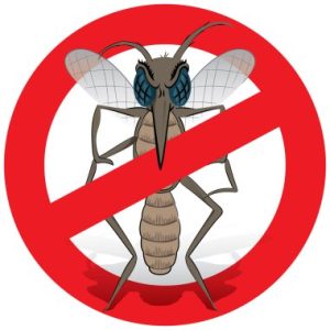 Les méthodes de prévention contre les insectes dans les maisons individuelles